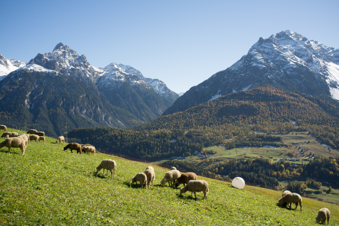 via Flöna jusqu’à Ftan (oua_15670168_image)