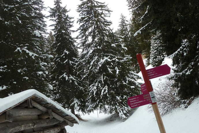 Lauschige Abschnitte durch den Winterwald (Verzweigungspunkt Waldhütte)