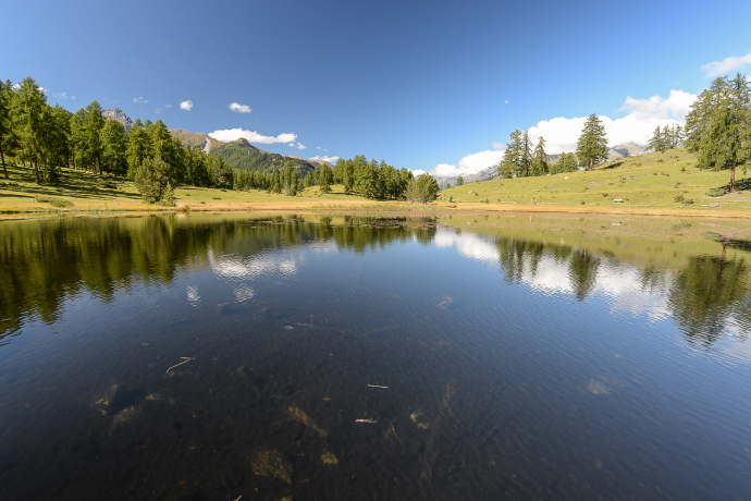 Tarasp Fontana – Sparsels – Lai Nair (Rundweg) (oua_16929489_image)
