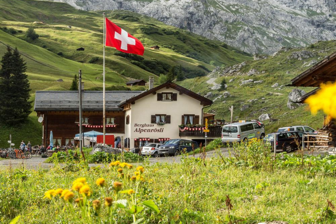 Alpenrösli im Sommer