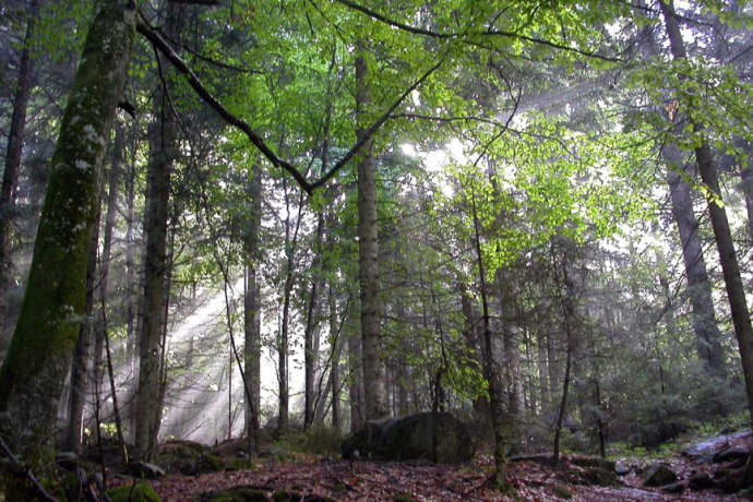 Val Cama - Trail Running (oua_17547525_image)