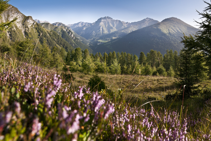 Meravigliosa vista sul Piz Tschütta