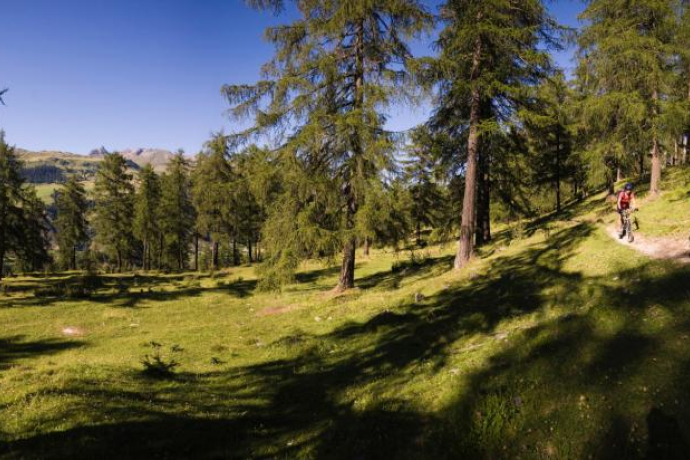 Sent – Tschlin (round route) (oua_17632484_image)