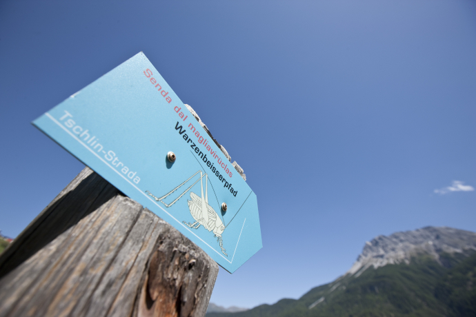 Theme trail - an experience for the whole family