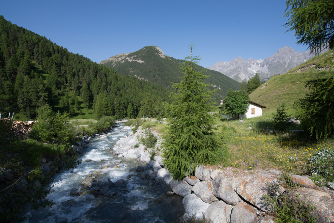 S-charl – Alp Sesvenna (retour) (oua_17790551_image) S-charl – Alp Sesvenna (retour) (oua_17790551_image)