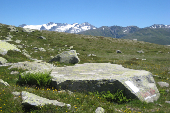 Hexenplatte mit Piz Medel im Sommer