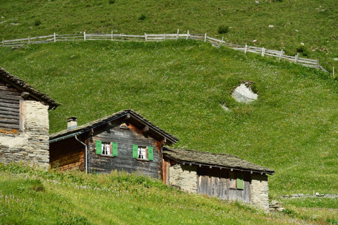 232 Peil (oua_18333728_image)