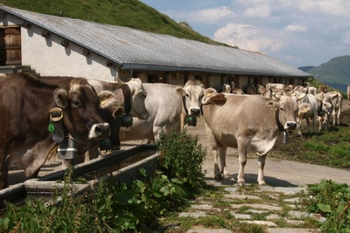 Leisalp; Foto: Markus Schlegel Leisalp; Foto: Markus Schlegel