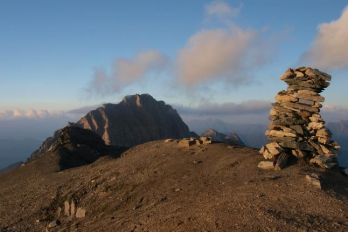 Faltschonhorn; Foto: Markus Schlegel Faltschonhorn; Foto: Markus Schlegel