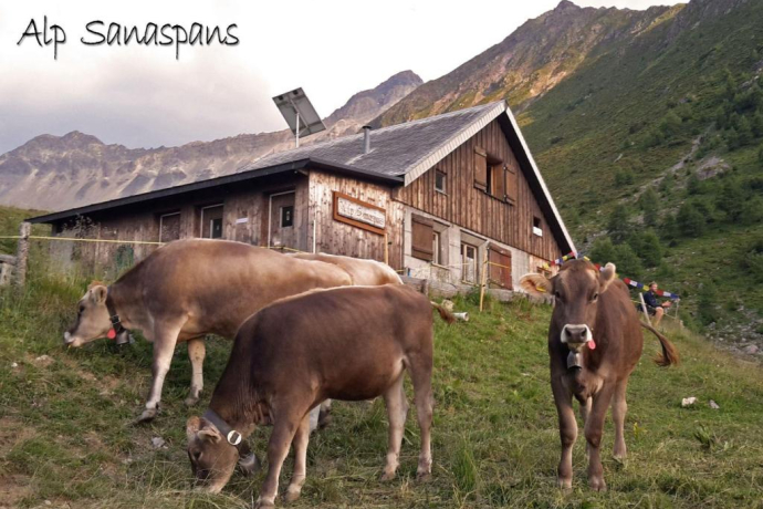 Alp Sanaspans Alp Sanaspans