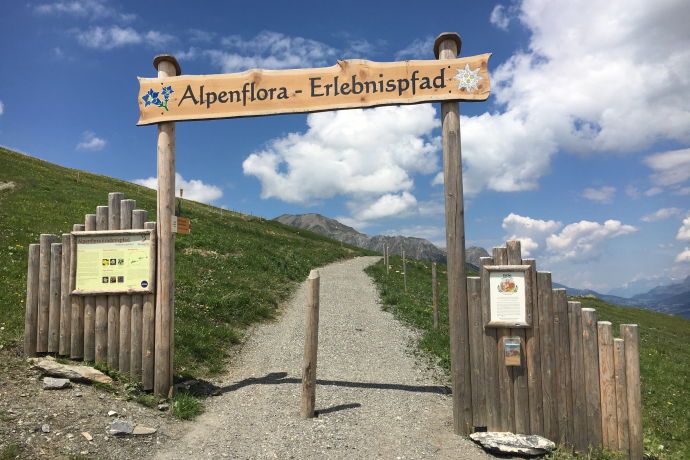 Alpenflora-Erlebnispfad