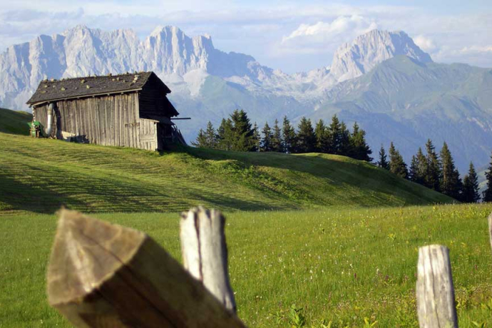 278 Danusa (oua_1978654_image)