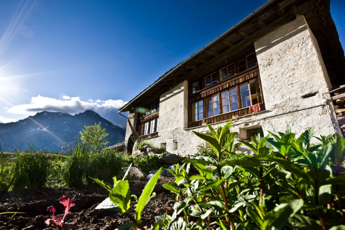 679 Maloja Express (oua_19861426_image)