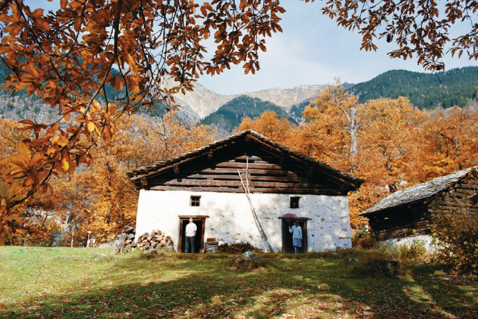 679 Maloja Express (oua_19861427_image)