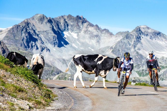 Participant of the Alpine Challenge on the Albula Pass.
