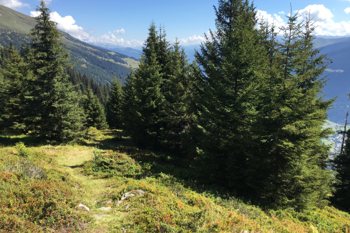 Boucle de montagne de Trun (oua_20182883_image)