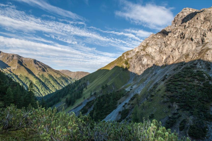 On the ascent through the dwarf pine belts in the Val Müschauns