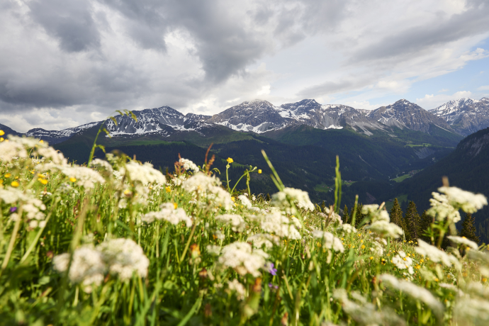 Pirigen-Blackter Fürggli