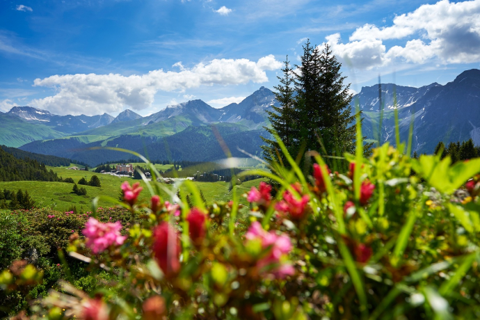 Sentier d’Arlenwald