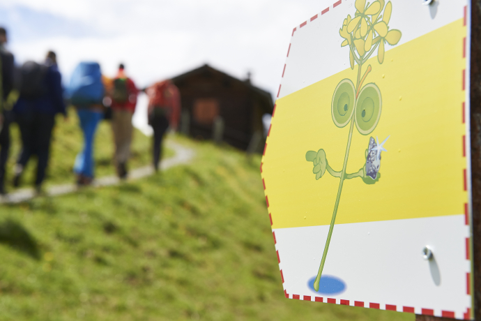 Balisage du Glückstrail