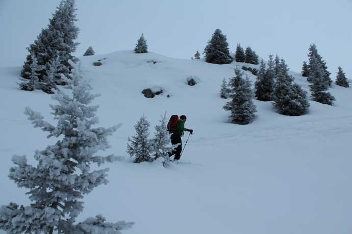 Still in the fog at Alp Crap Ner Sut