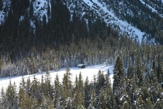 Cross-country ski trail Isel Cross-country ski trail Isel