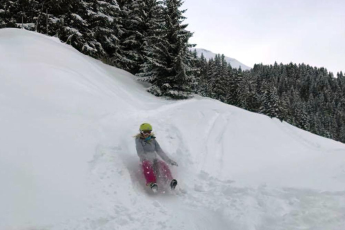 Plaisir pour les grands et les petits avec la luge ou le toboggan
