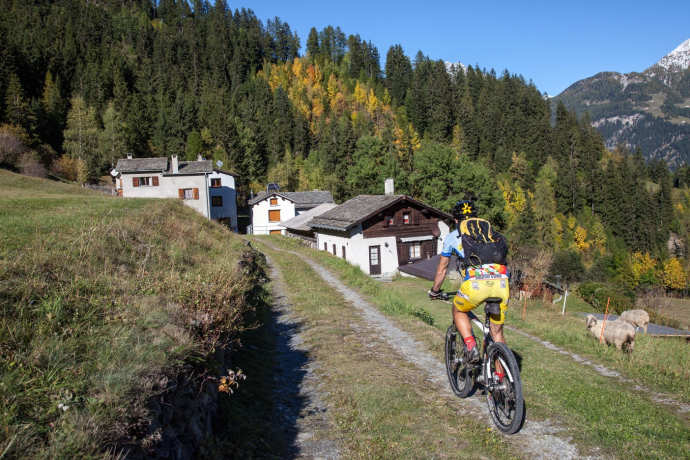 431 Granpanoramica Poschiavina (oua_21742294_image)