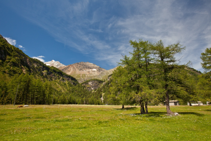 33.09 Cavaglia - Le Prese, Via Albula / Bernina (oua_21742792_image)