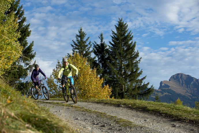 615 Biketicket to ride blau 615 Biketicket to ride blau