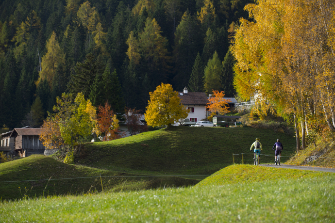 615 Biketicket to ride blau 615 Biketicket to ride blau