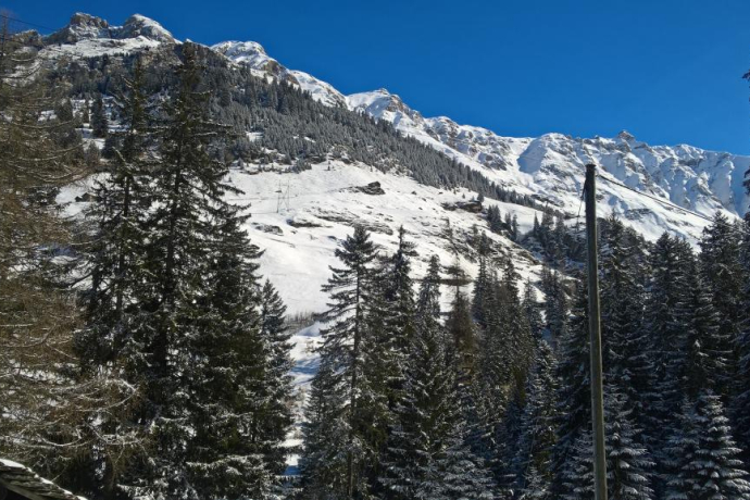 Chemin de randonnée hivernal Rongg - Gross Cheer