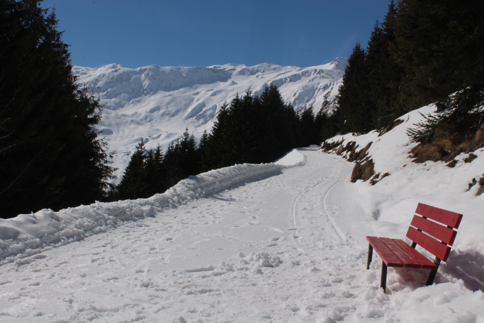 Rest bench along the route