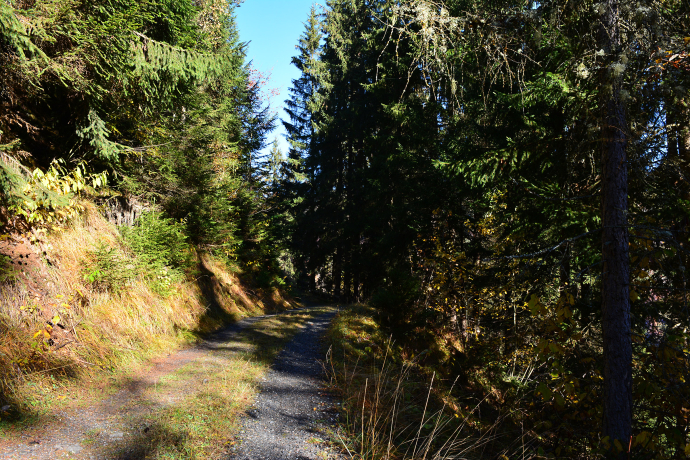 On the way on the walking path