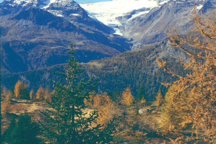 Aura Freida mit schönem Bergparnorama auf Palü Gletscher