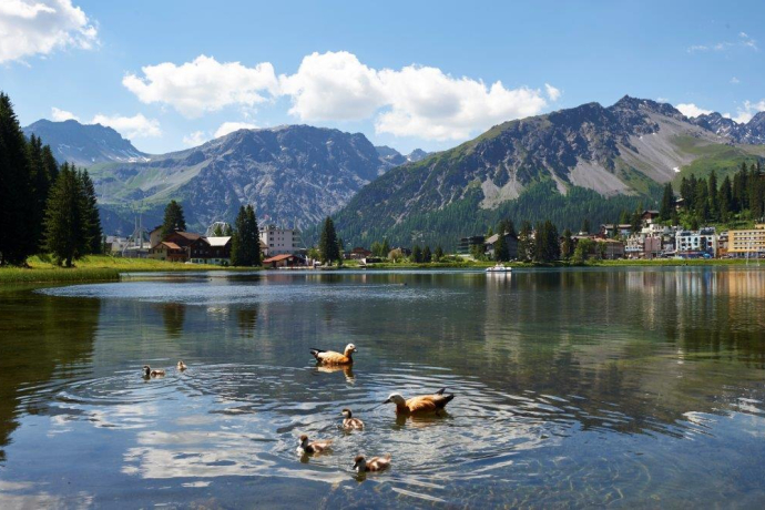 Obersee Sommer