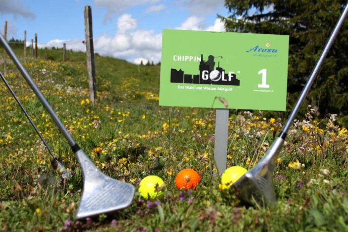 Chippin Golf