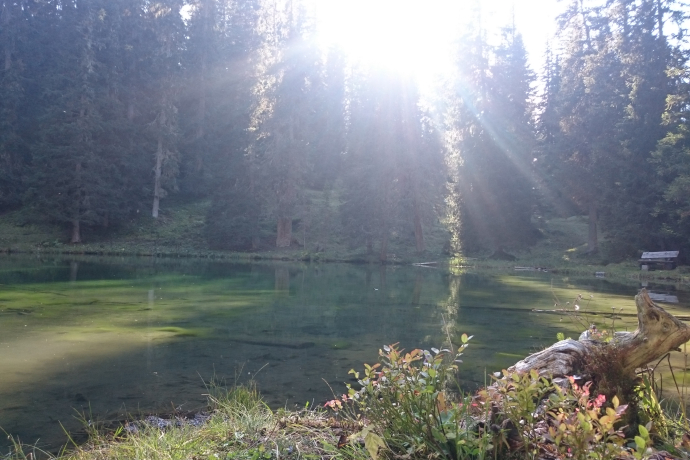 Das Grüenseeli in der Abendsonne Das Grüenseeli in der Abendsonne