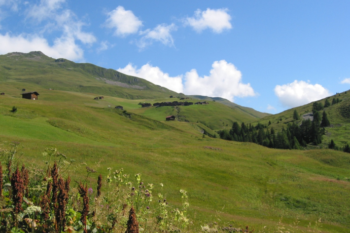 Etappe 19: Strassberg im Fondei