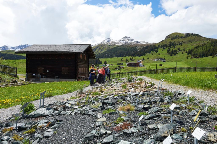 Le jardin alpin de Maran