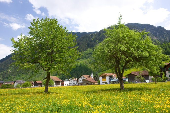 Frühling in Surrein