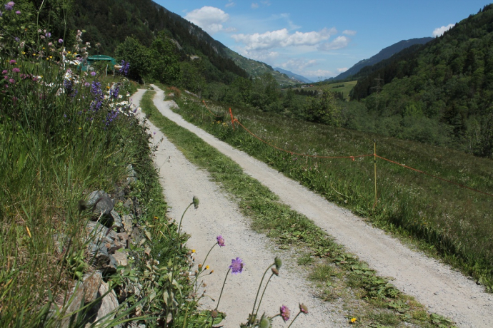 208 Val Russein (oua_22960049_image)