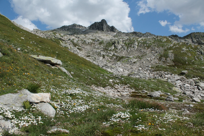 weglos mit Blick auf den Krüzlistock weglos mit Blick auf den Krüzlistock