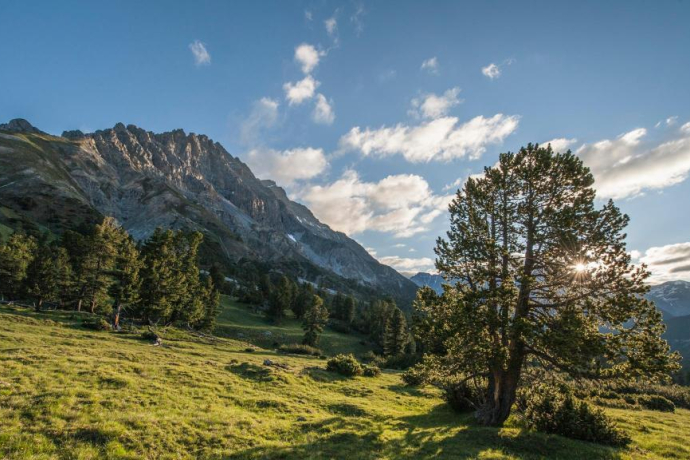 Nationalpark: Val Mingèr – Val Plavna – Tarasp (oua_23253919_image)