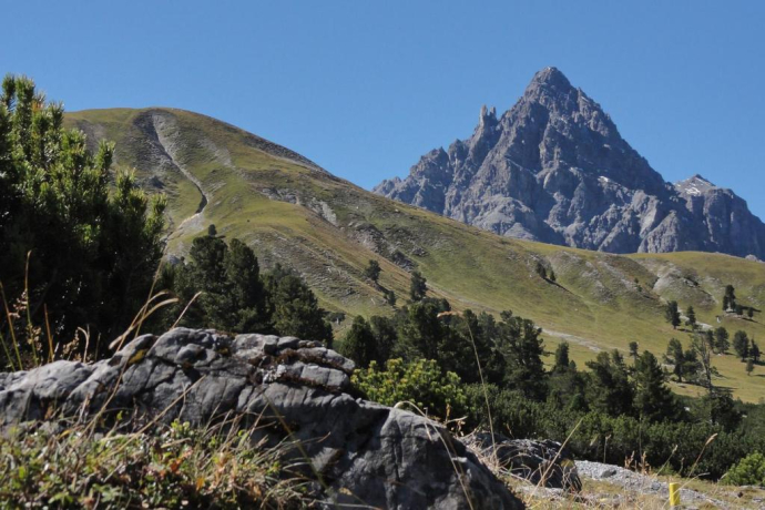 Parc national : Val Mingèr – Sur il Foss – Fuorcla Val dal Botsch – Route du col de l'Ofen (oua_23253920_image)