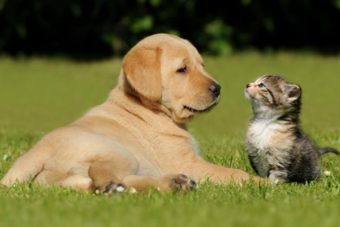 Qualipet Center Chur