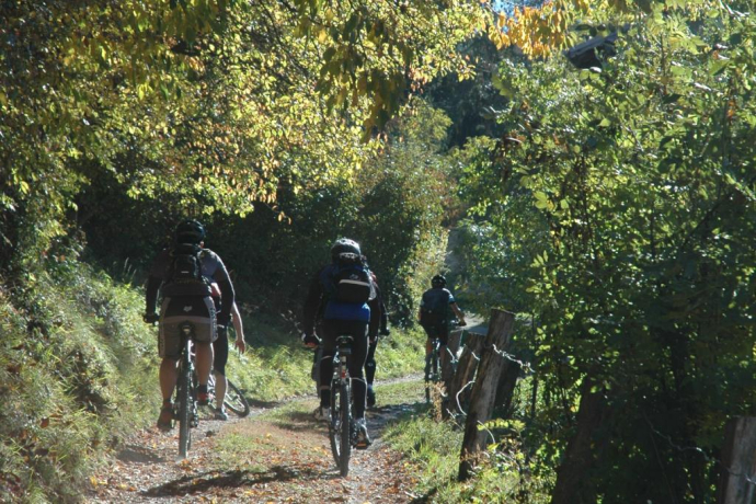 Cycliste sur le chemin forestier