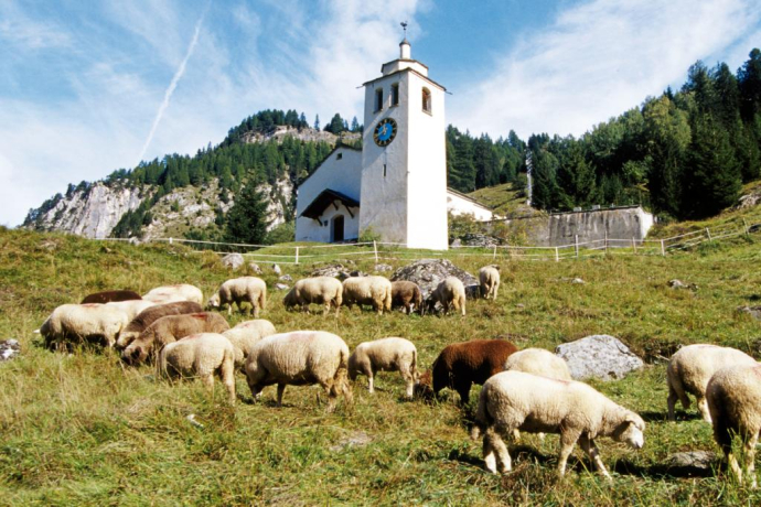 Romanische Kirche in Ausserferrera