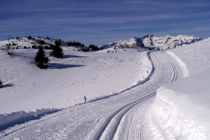 Feldis : piste panoramique montagne (oua_23420053_image)