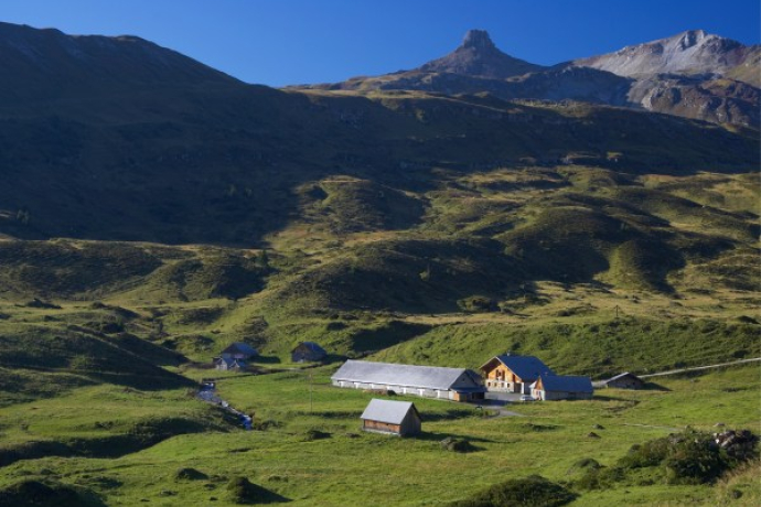 Alp Fursch - idilliache Prealpi
